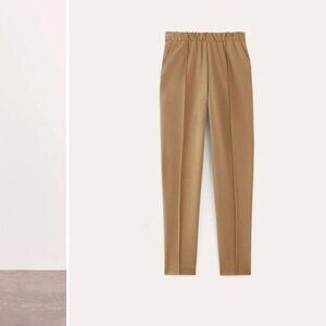 Everlane The Dream Pant Size L in Brown